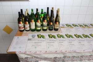 Dan odprte kleti in razglasitev protokolarnega vina 1